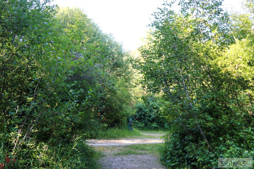 13 Hart Lane Property Photo 38