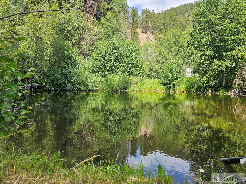 13 Hart Lane Property Photo 43