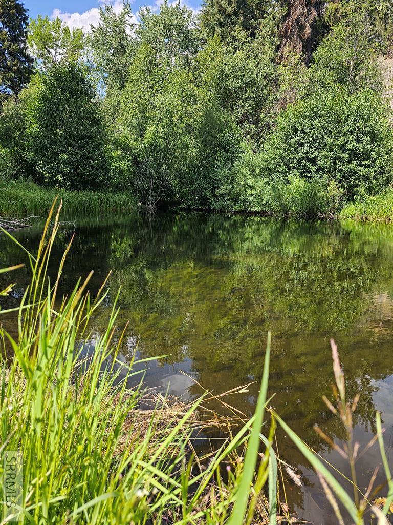 13 Hart Lane Property Photo 44