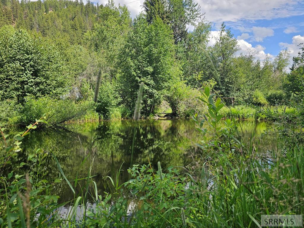 13 Hart Lane Property Photo 48