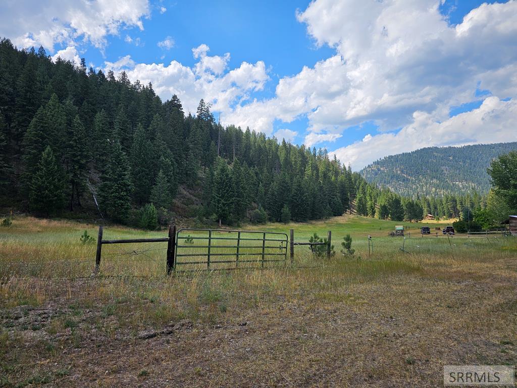 13 Hart Lane Property Photo 49