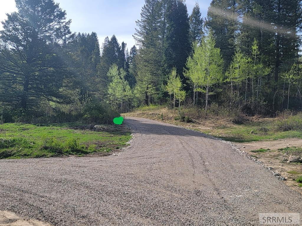 L39 B4 Cutthroat Run Property Photo 1