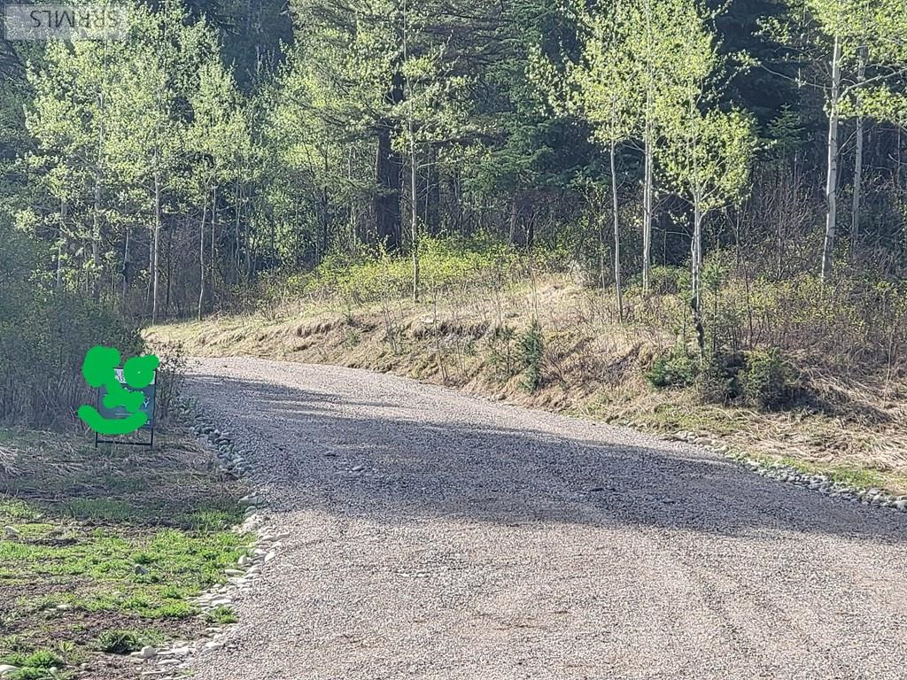 L39 B4 Cutthroat Run Property Photo 3