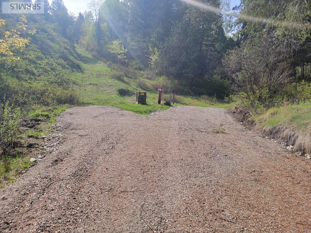 L39 B4 Cutthroat Run Property Photo 4
