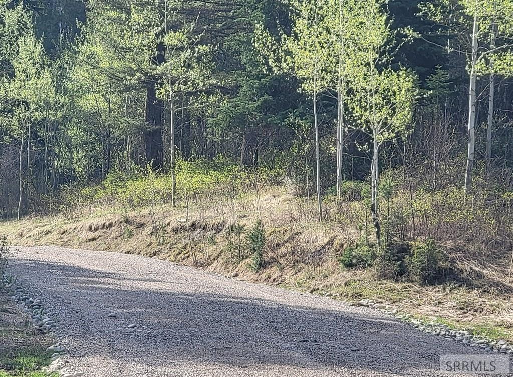 L39 B4 Cutthroat Run Property Photo 5