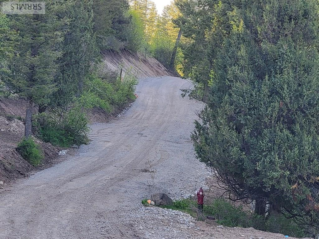 L39 B4 Cutthroat Run Property Photo 7
