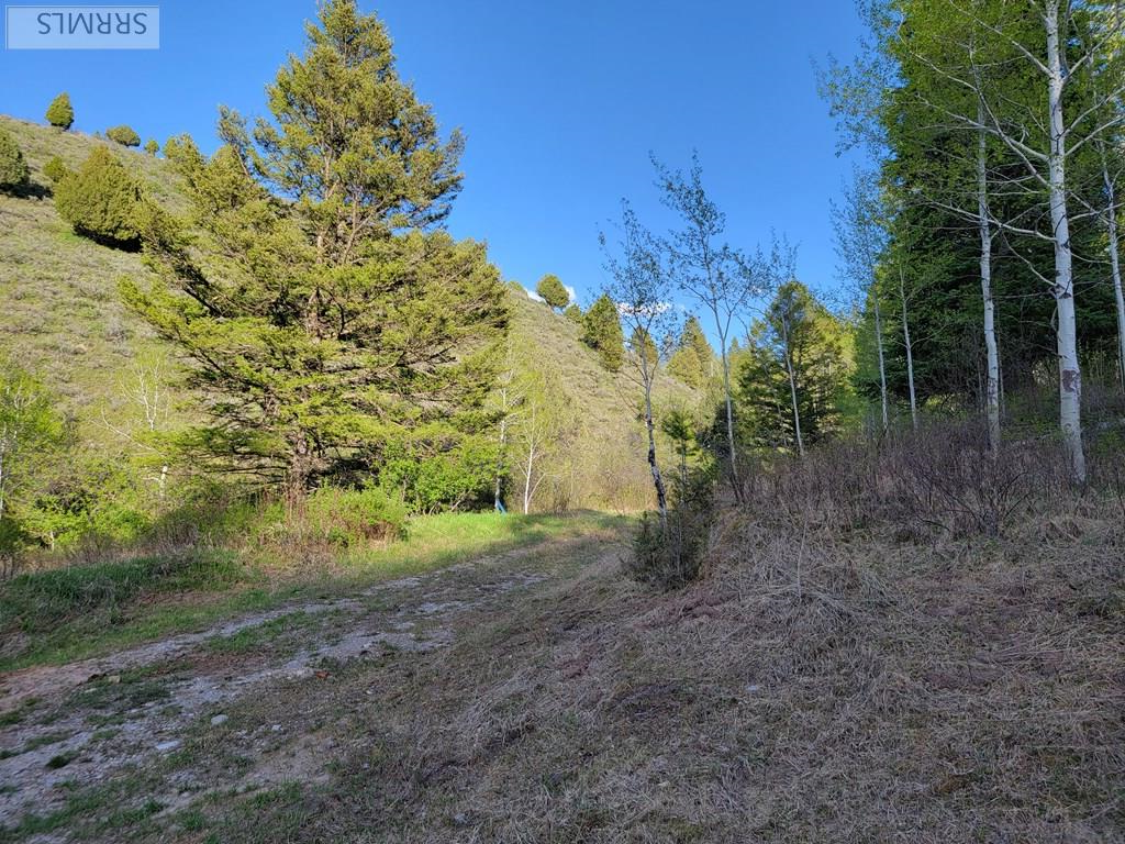 L39 B4 Cutthroat Run Property Photo 9