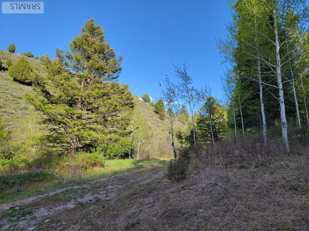 L39 B4 Cutthroat Run Property Photo 10