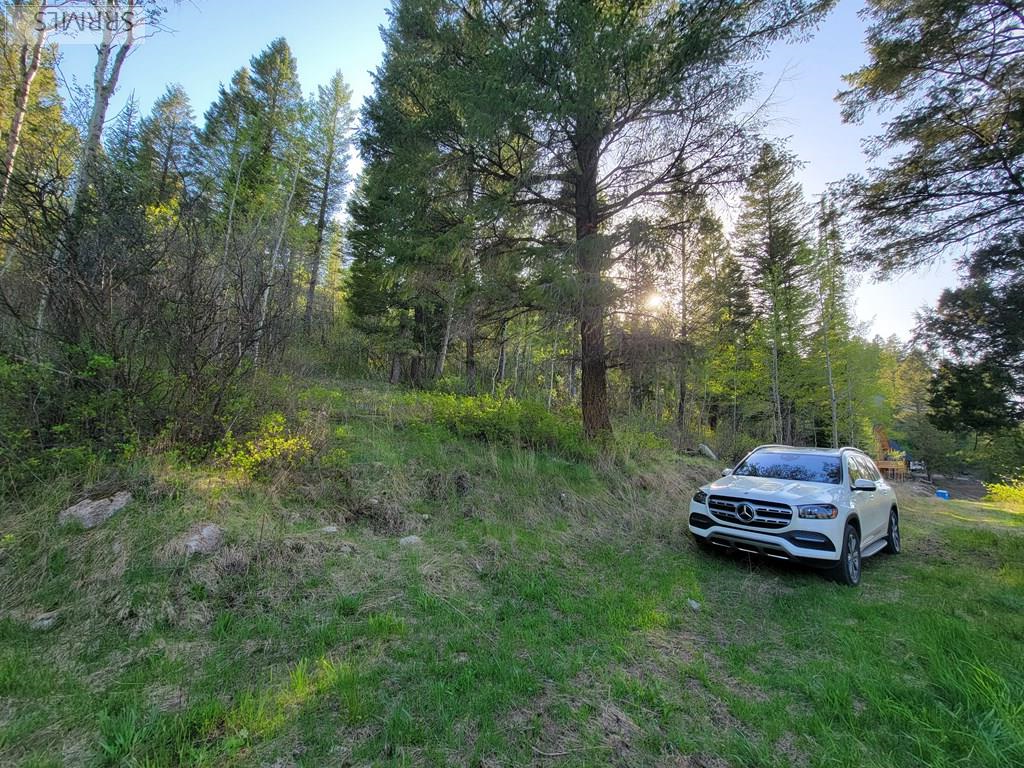 L39 B4 Cutthroat Run Property Photo 11
