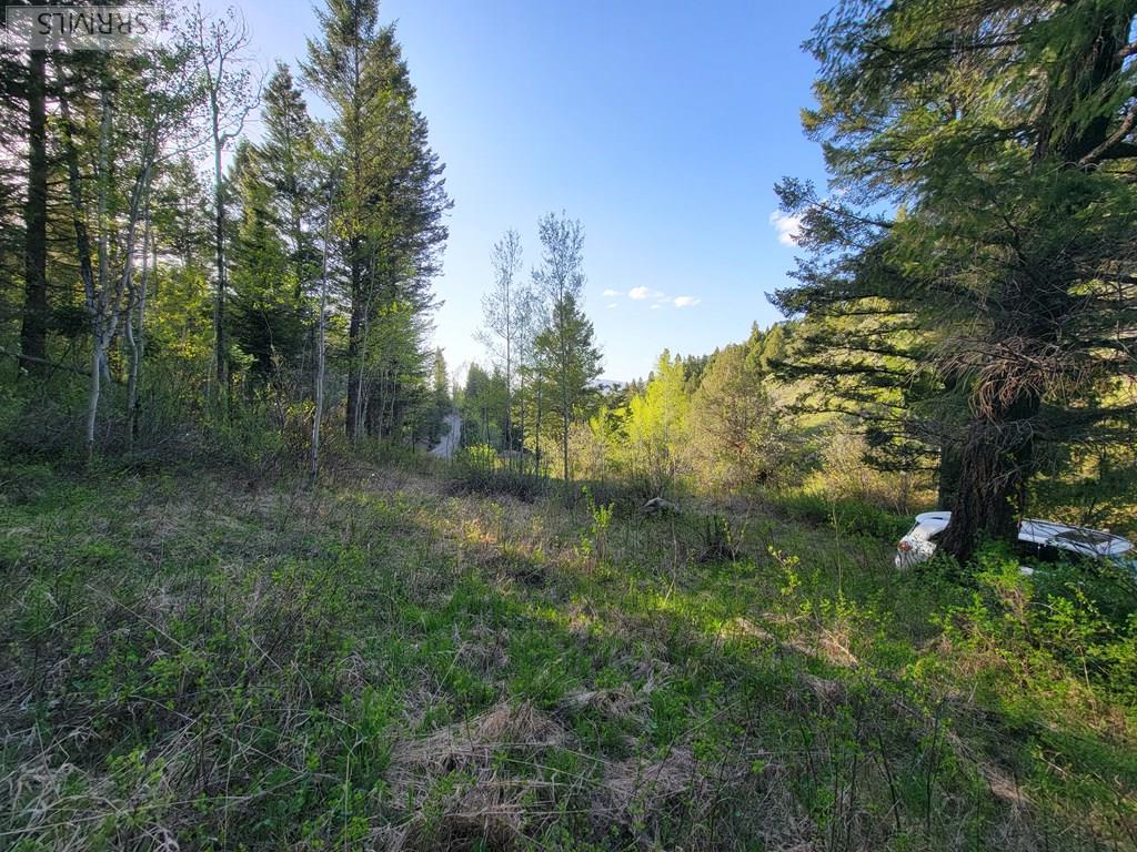 L39 B4 Cutthroat Run Property Photo 12