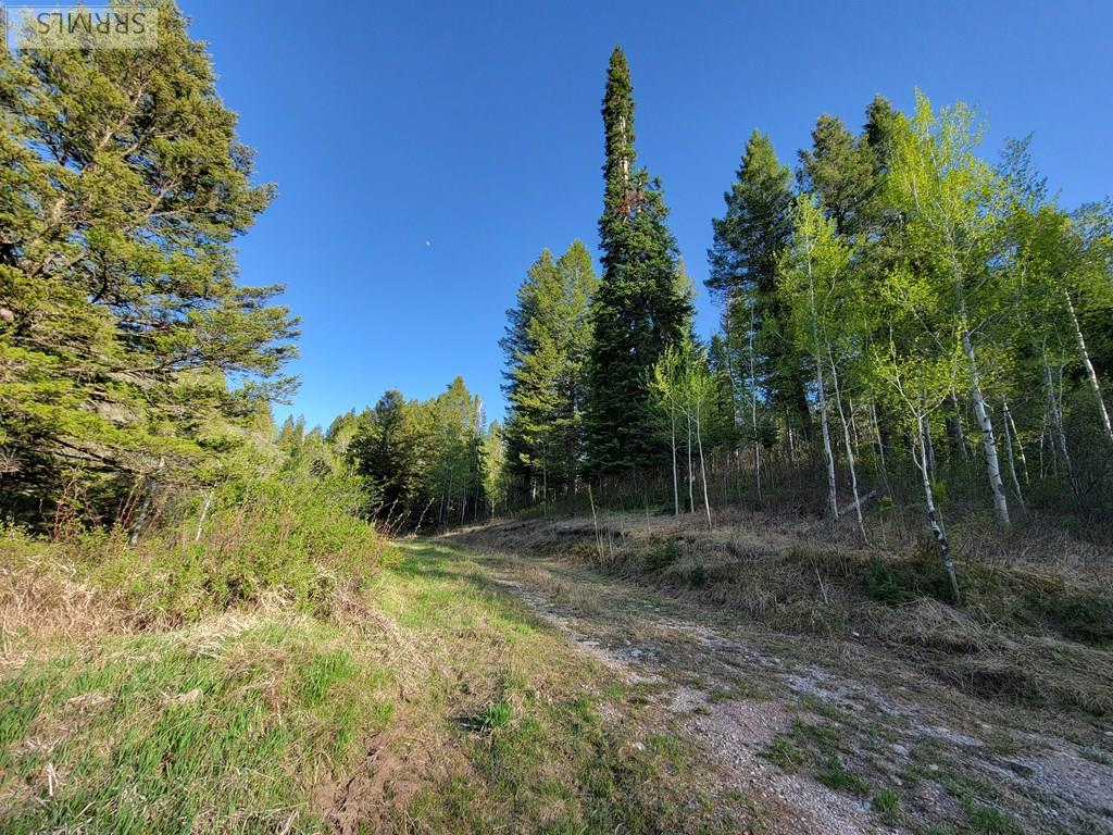 L39 B4 Cutthroat Run Property Photo 13