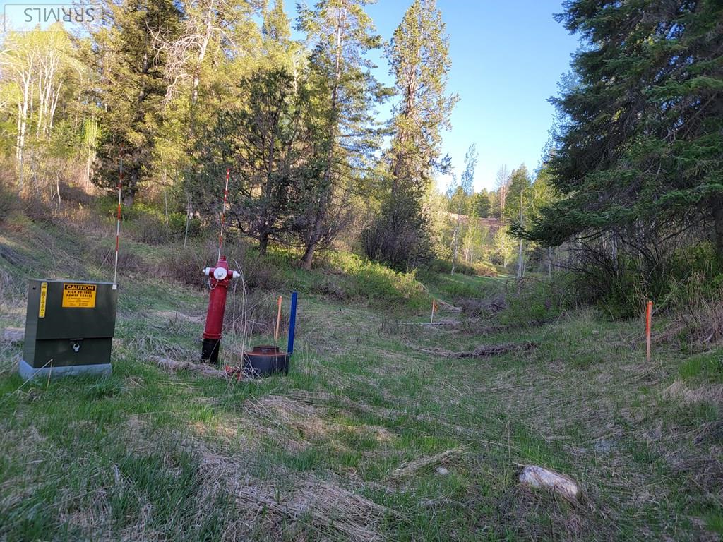 L39 B4 Cutthroat Run Property Photo 15