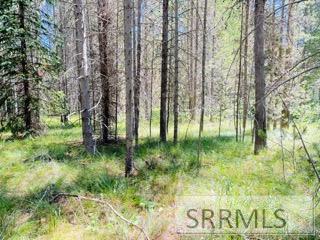 4009 Coyote Road Property Photo 1