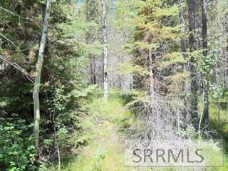 4009 Coyote Road Property Photo 2