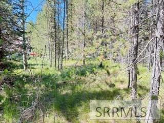 4009 Coyote Road Property Photo 3