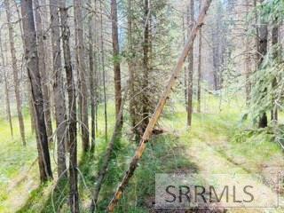 4009 Coyote Road Property Photo 4