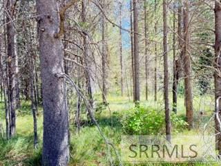 4009 Coyote Road Property Photo 5