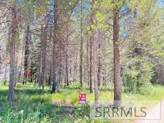 4009 Coyote Road Property Photo 6