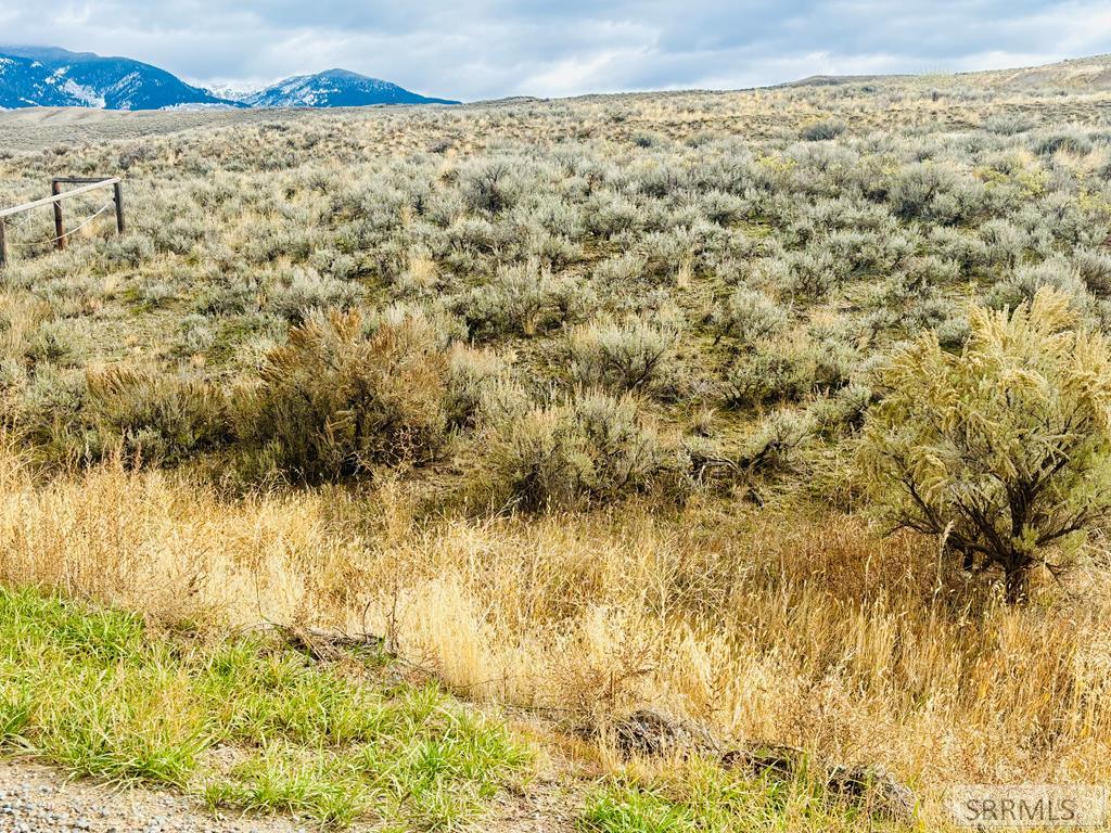 Tbd Sagebrush Avenue Property Photo 1
