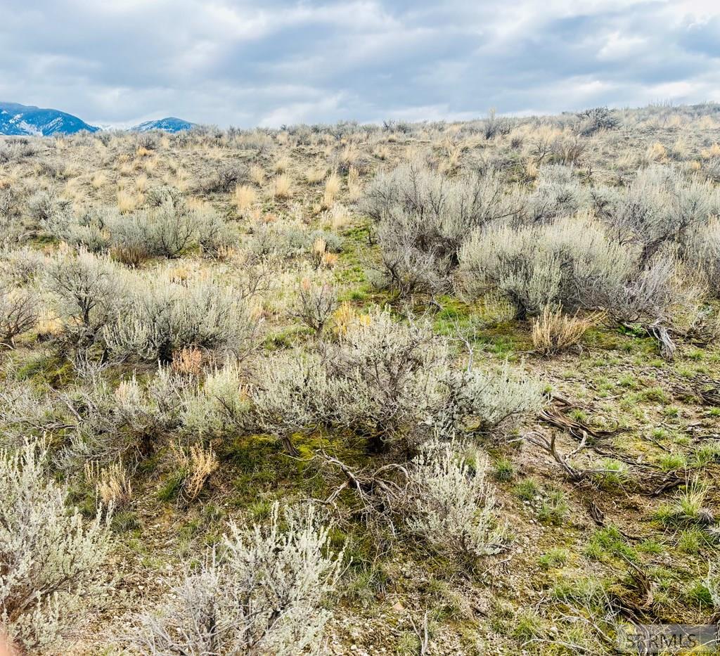 Tbd Sagebrush Avenue Property Photo 6