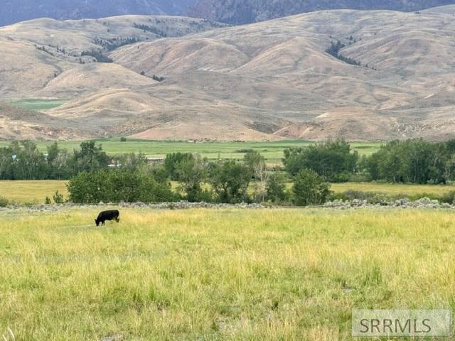 50 Bowman Lane Property Photo 2