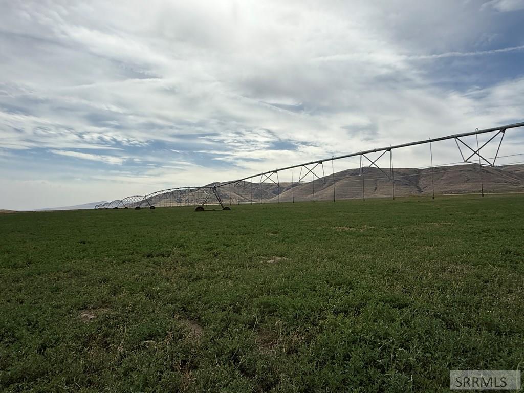 2180518 Property Photo 2