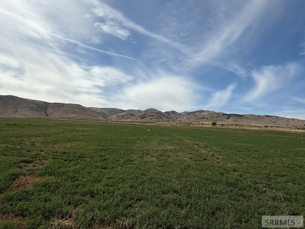 2180518 Property Photo 3