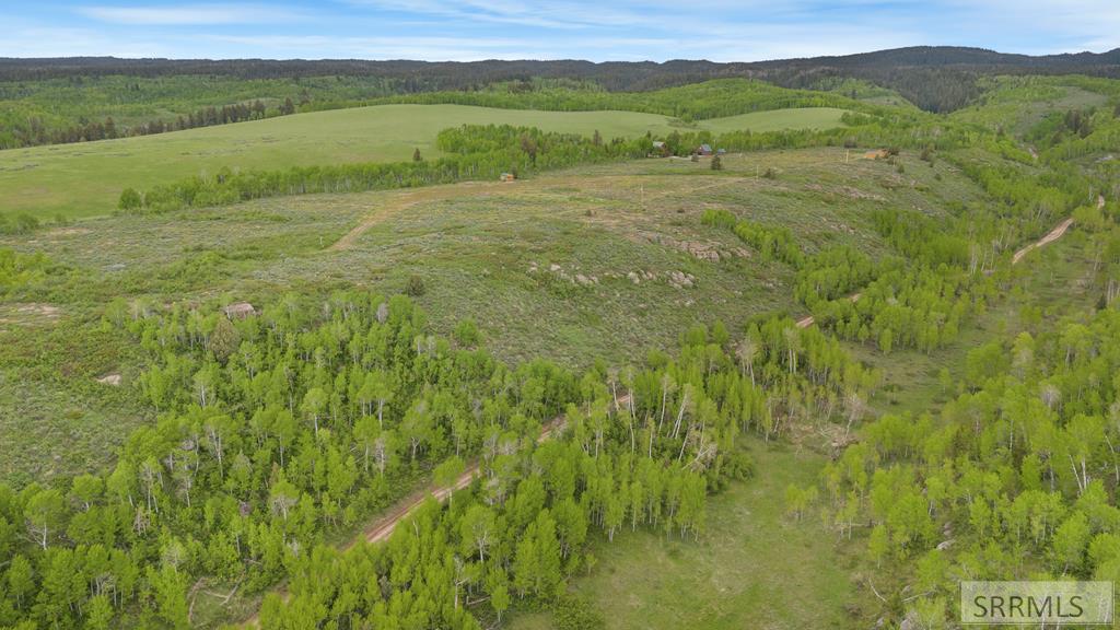 1542 W Rim Loop Road