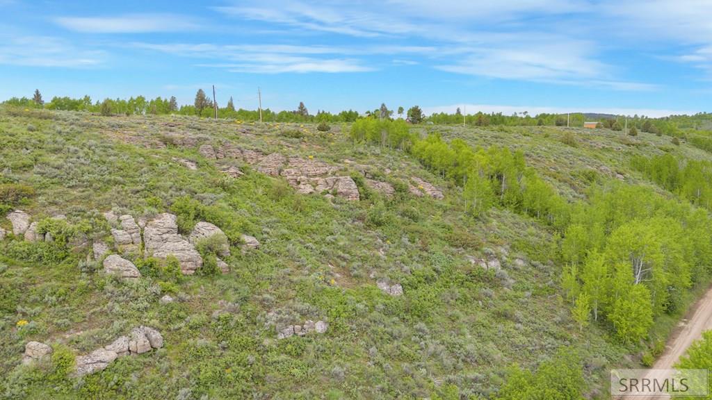 1542 W Rim Loop Road Property Photo 6