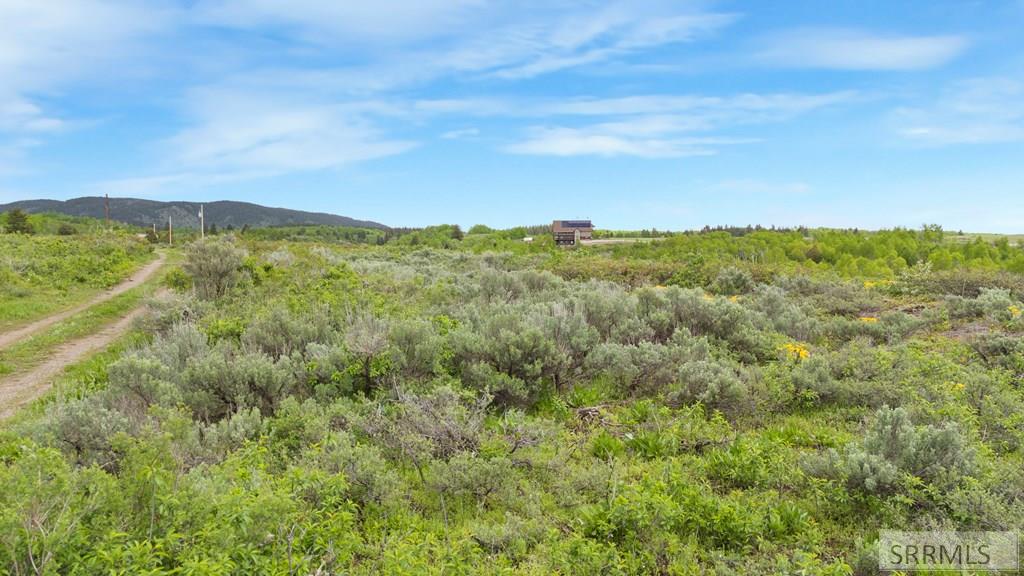 1542 W Rim Loop Road Property Photo 7