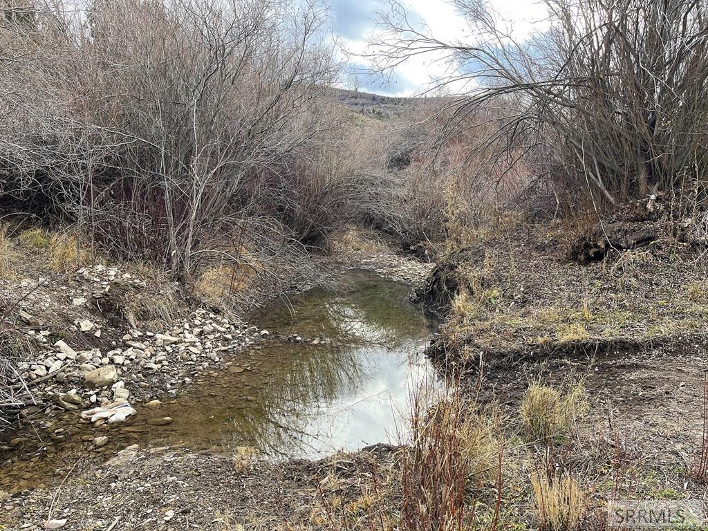 0 Dan Creek Road Property Photo 14