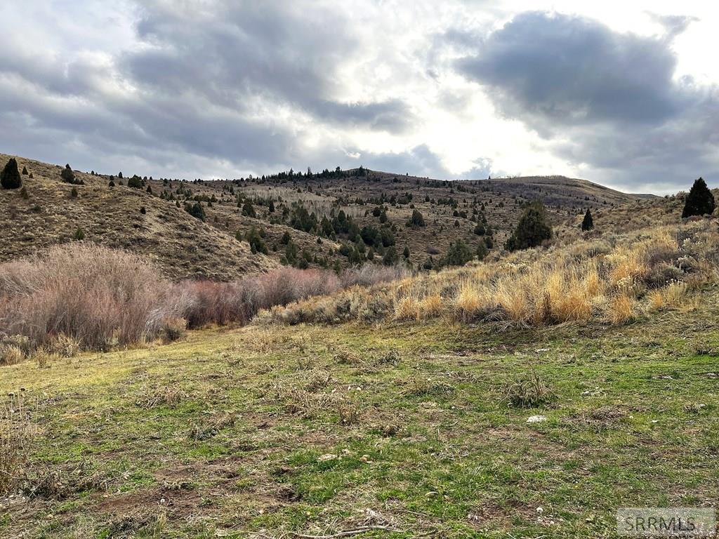 0 Dan Creek Road Property Photo 16