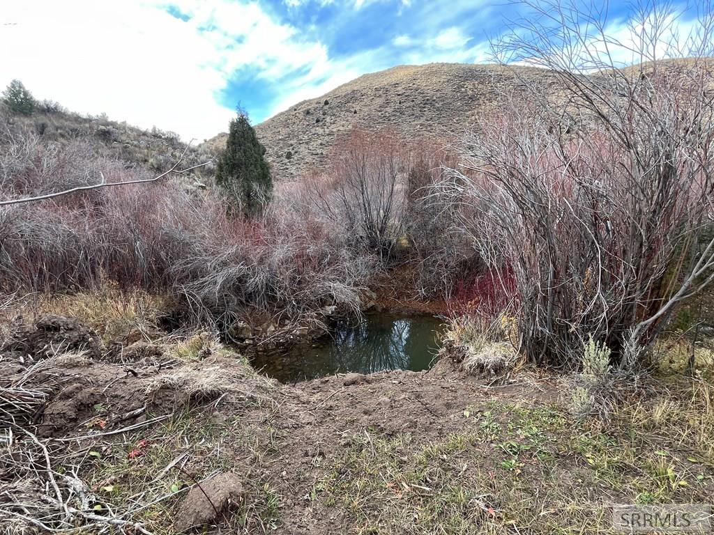 0 Dan Creek Road Property Photo 17