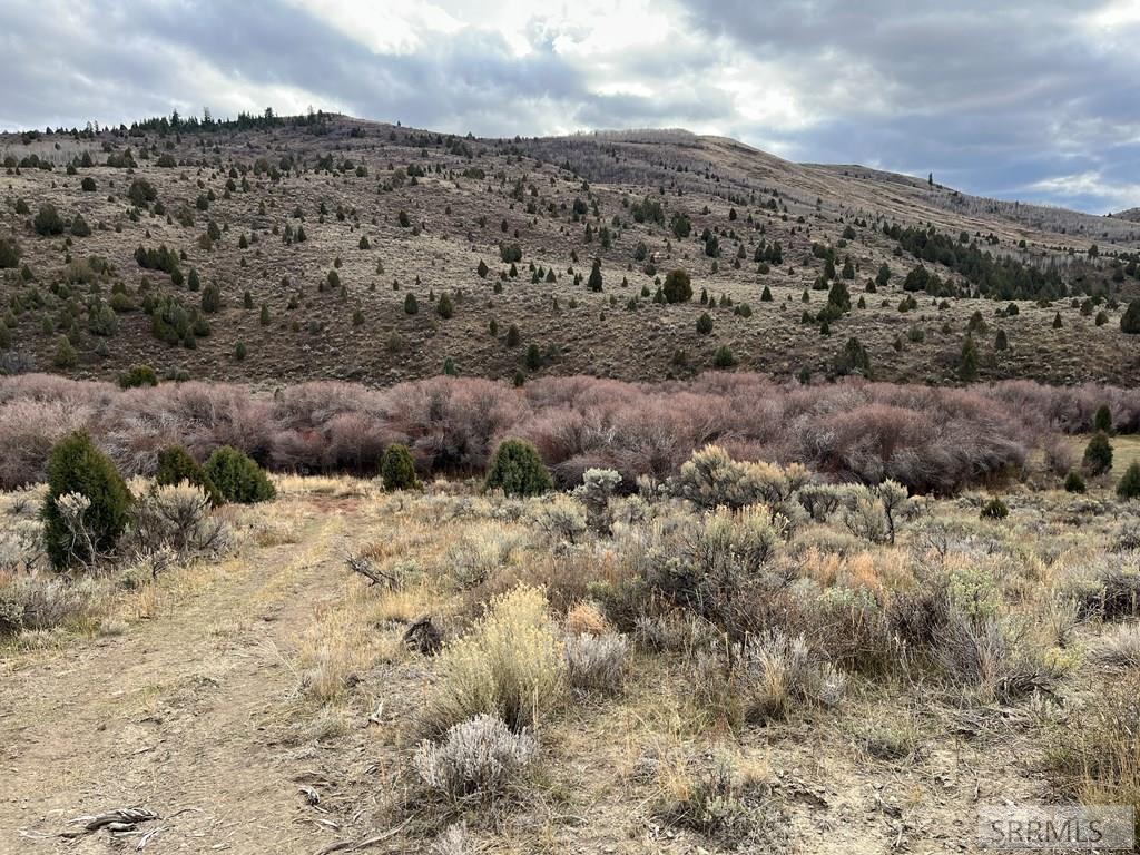 0 Dan Creek Road Property Photo 18