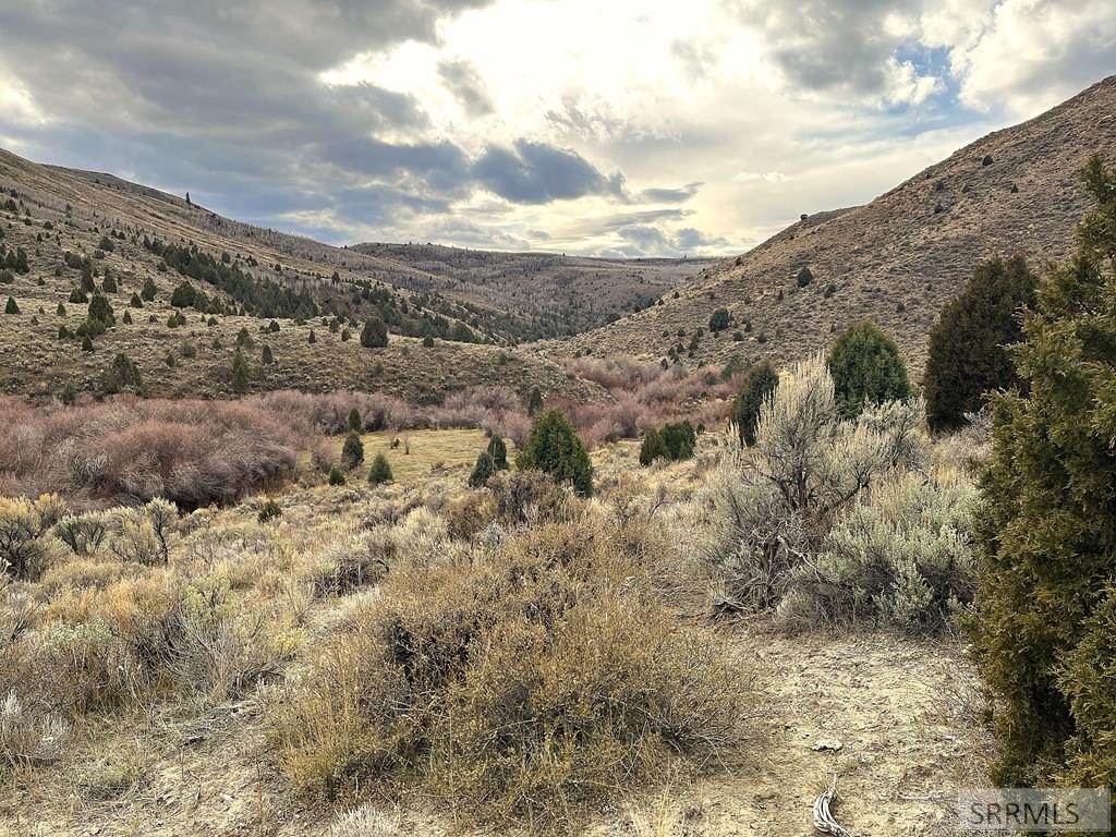 0 Dan Creek Road Property Photo 19
