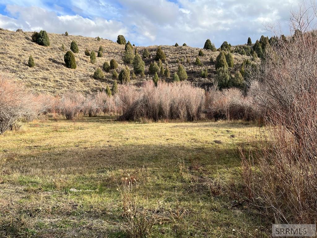 0 Dan Creek Road Property Photo 21