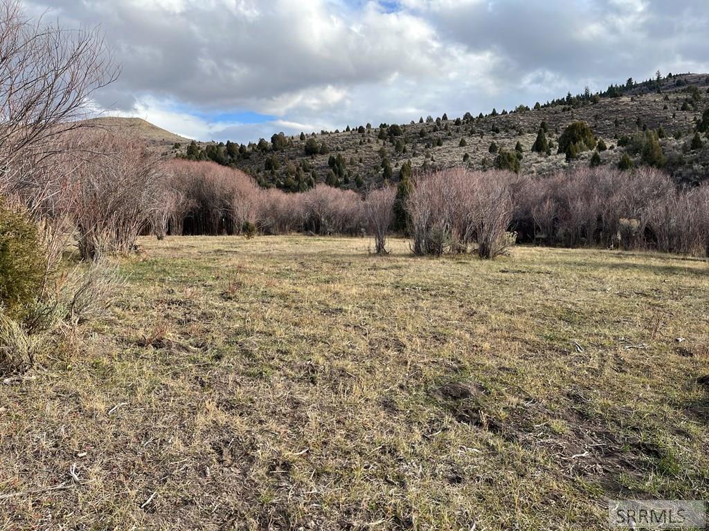 0 Dan Creek Road Property Photo 22