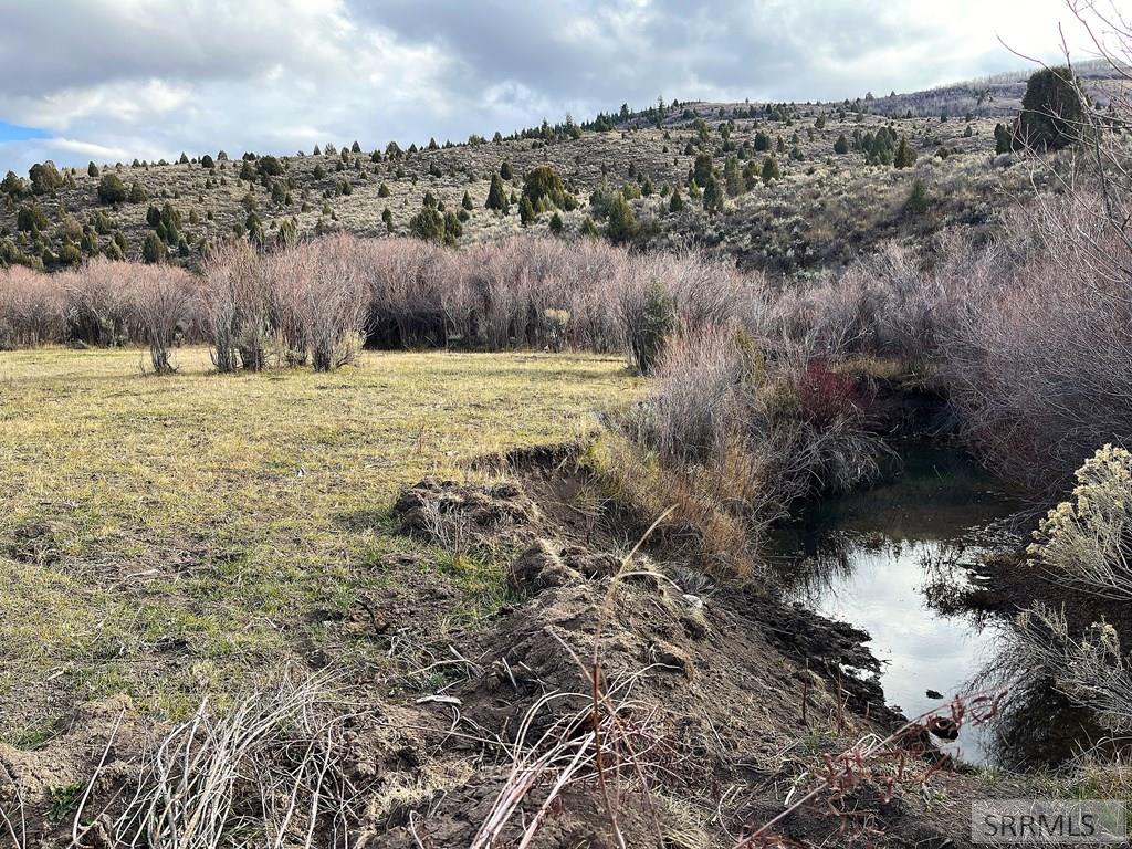 0 Dan Creek Road Property Photo 23
