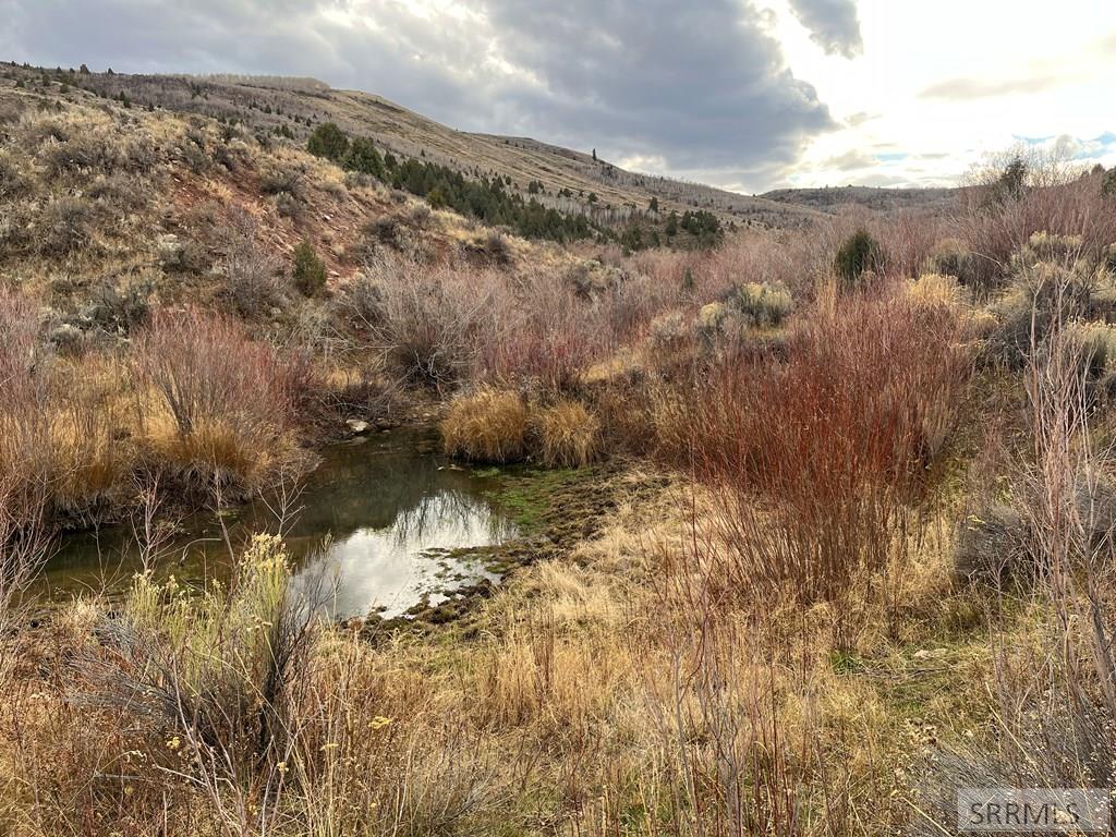 0 Dan Creek Road Property Photo 26