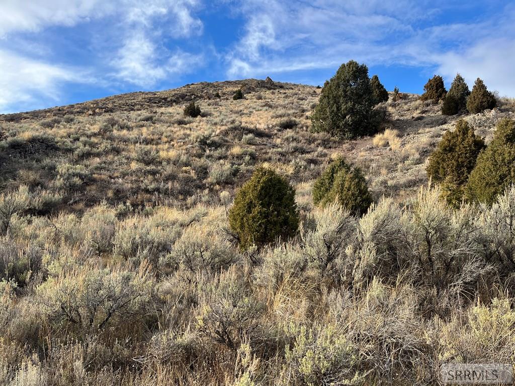 0 Dan Creek Road Property Photo 62