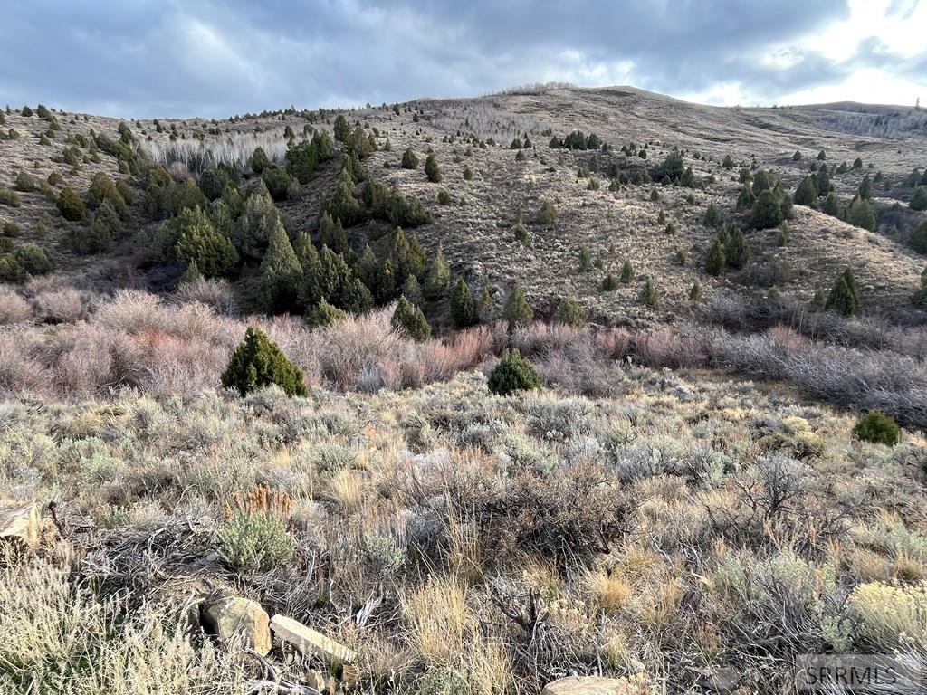 0 Dan Creek Road Property Photo 64