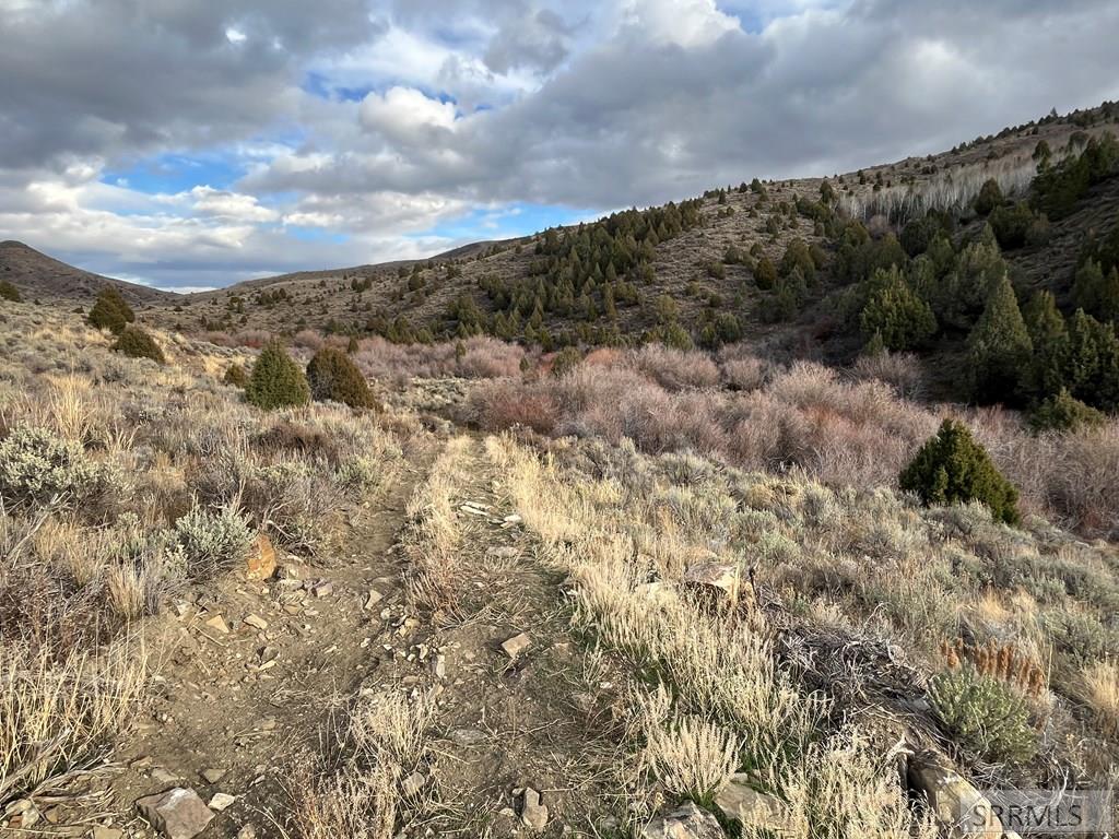 0 Dan Creek Road Property Photo 65