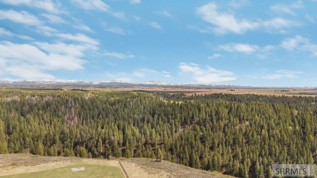 1625 Renegade Fly Drive Property Photo 13