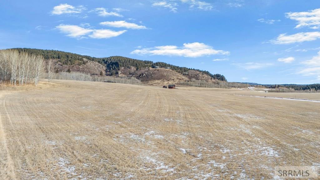 1625 Renegade Fly Drive Property Photo 25
