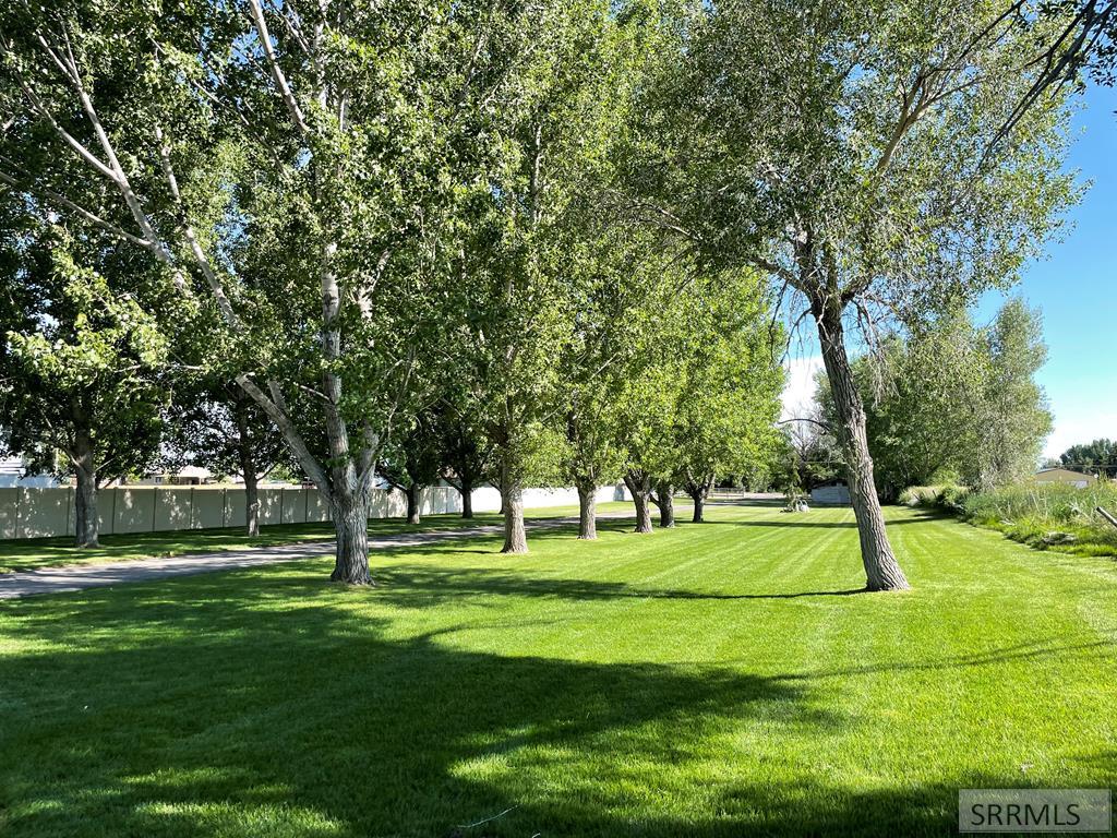 22 E Rich Lane Property Photo 5