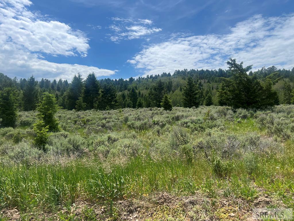 3080 Grandview Drive Property Photo 1