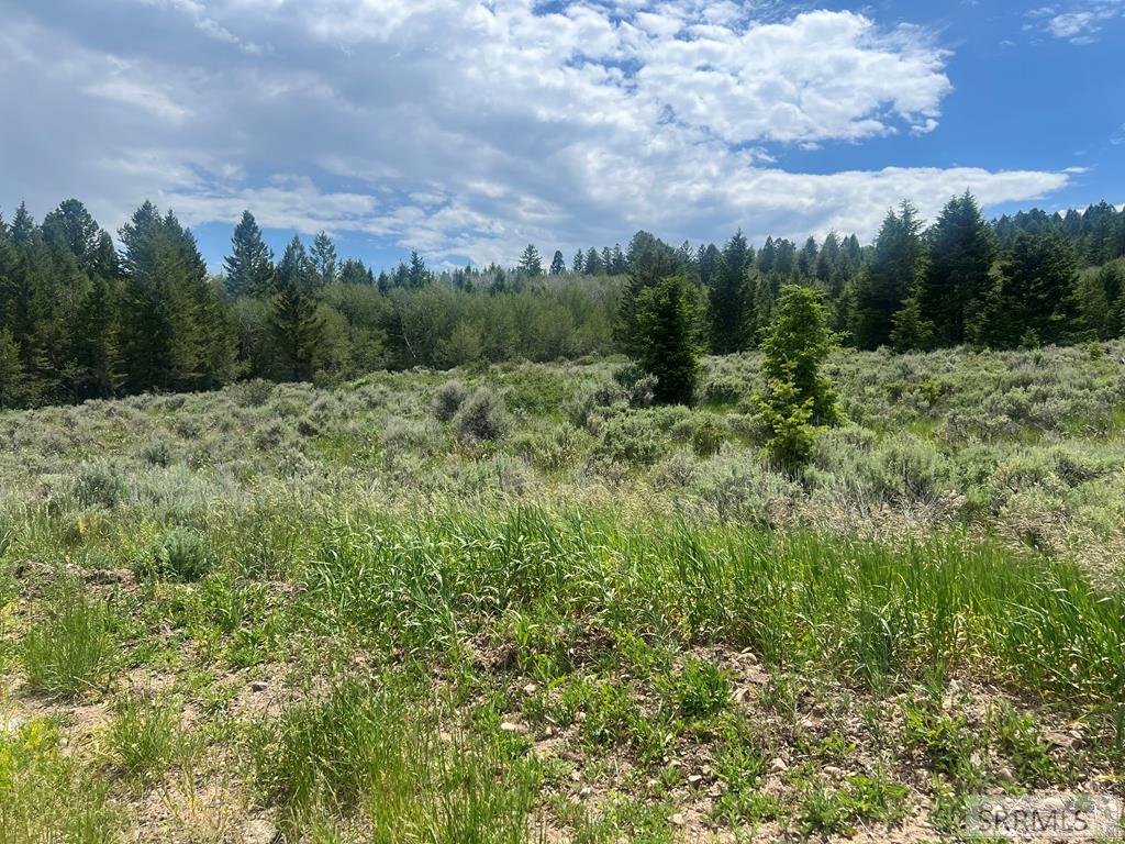 3080 Grandview Drive Property Photo 2
