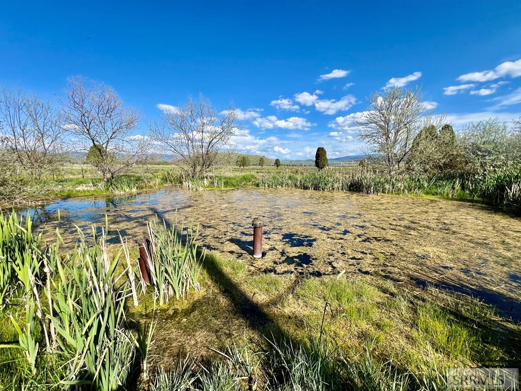 1691 Hillside Drive Property Photo 3