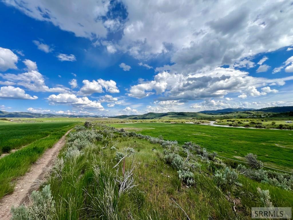 Tbd Bailey Creek Road Property Photo 6
