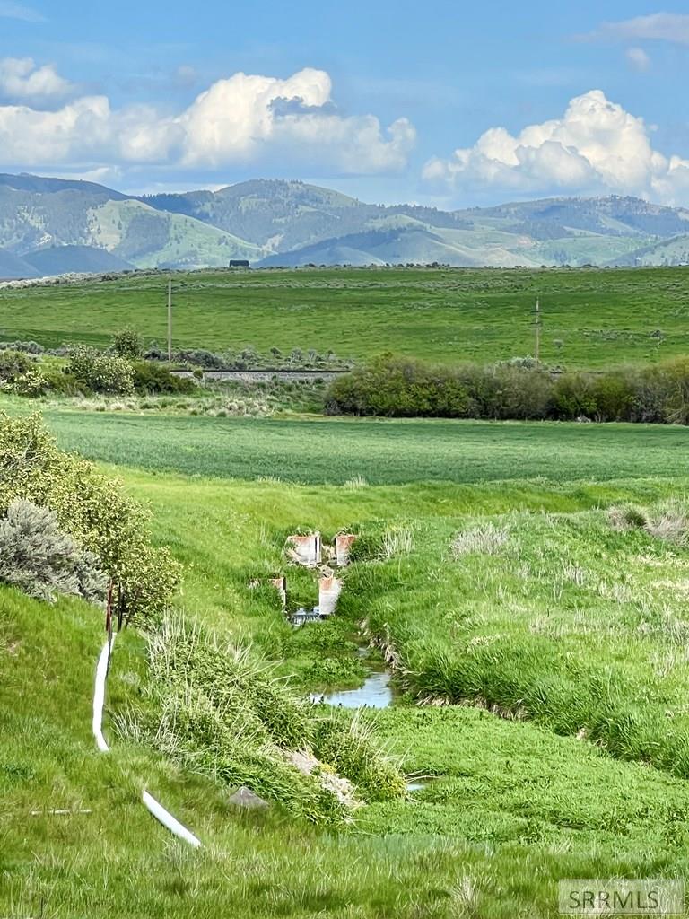 Tbd Bailey Creek Road Property Photo 8